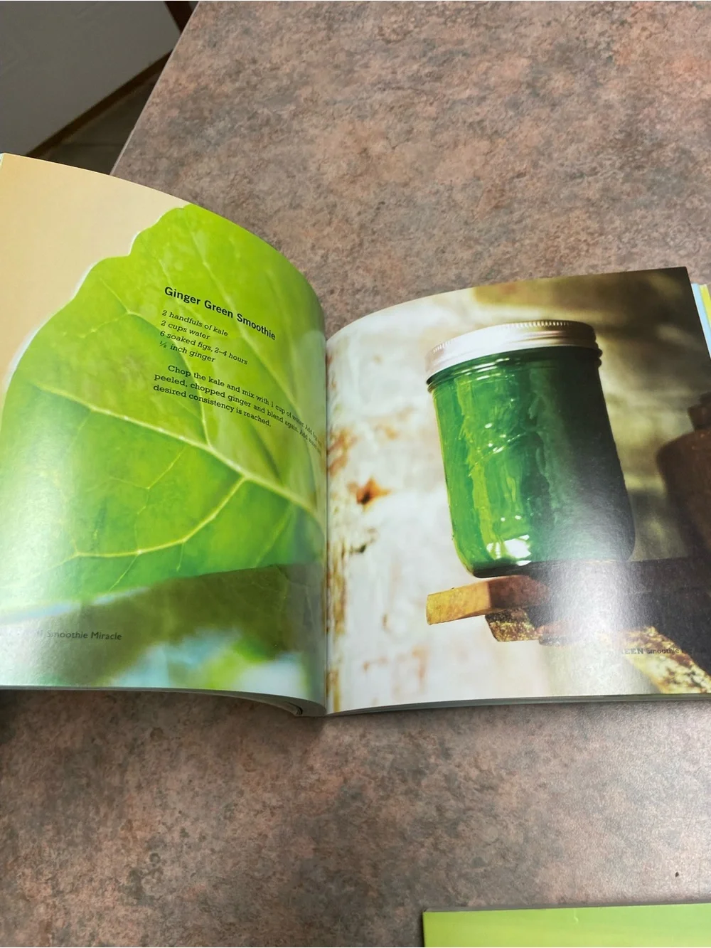 Smoothie Cookbook lot